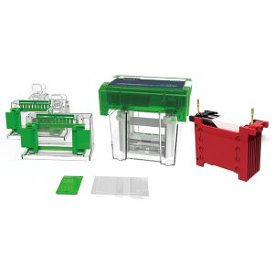 alt-i-ett-elektroforese- og blotting-system