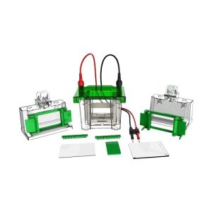 mini vertikal elektroforese celle