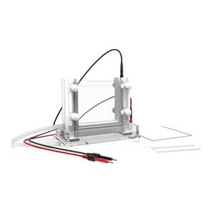 vertikal elektroforese-celle